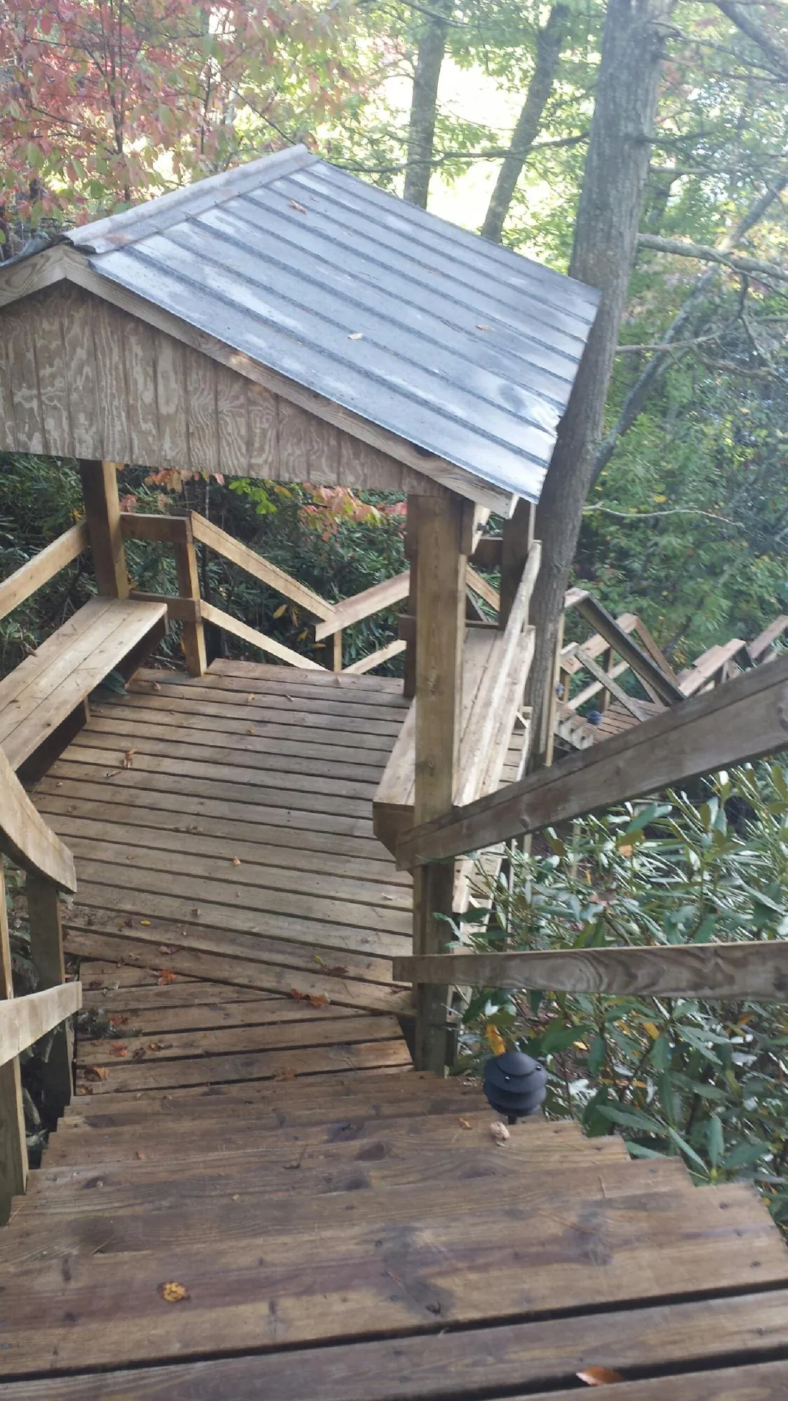 Metal roofed shelter over wooden steps on a wooded walkway — Skylight Repair & Installation work by our crew in Mango